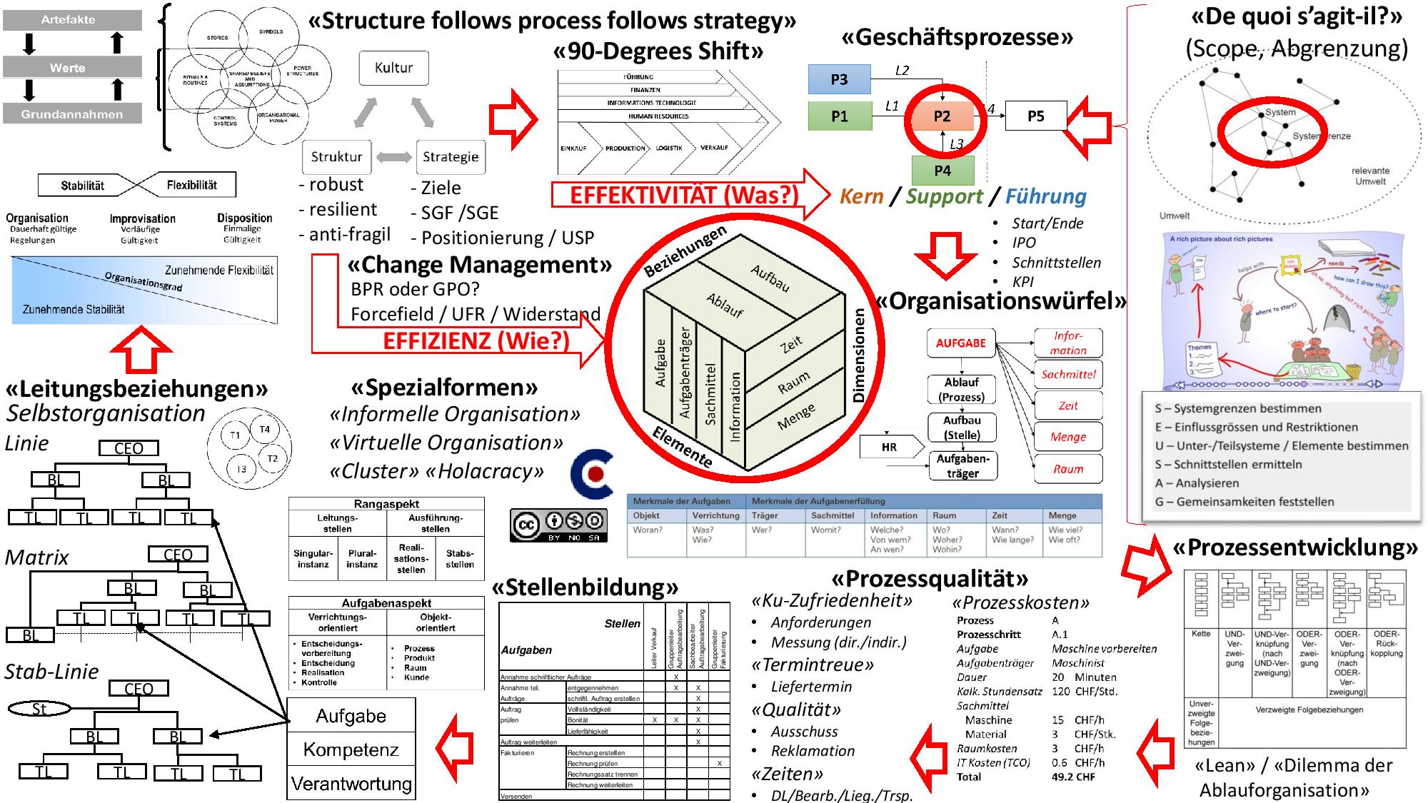 organisation