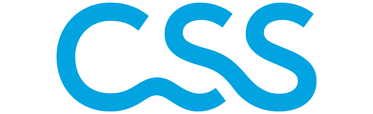 CSS